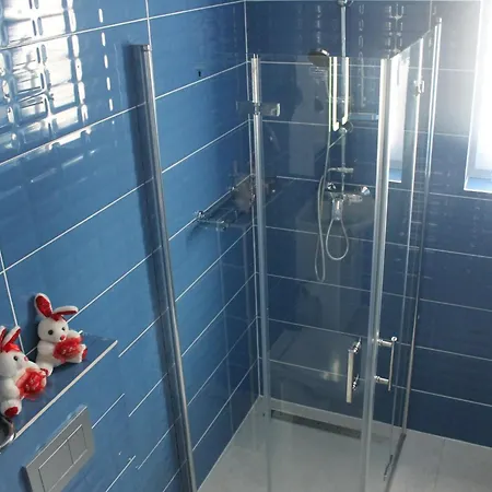 Mioritza Guest house Kallmuenz