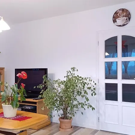 Mioritza Guest house
