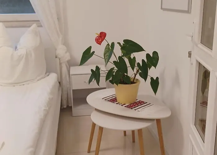 Πανσιόν Mioritza Kallmünz