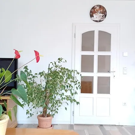 Pensión Mioritza Kallmünz