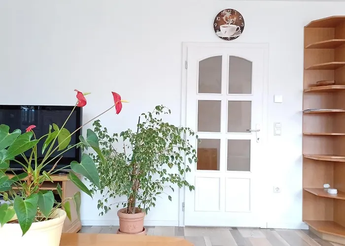 게스트하우스 Mioritza 칼문즈